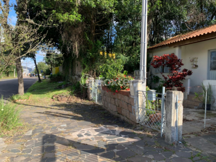 Image 3 - 251681