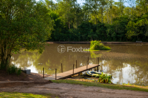 Image 24 - 251781