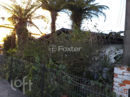 Image 4 - 251942