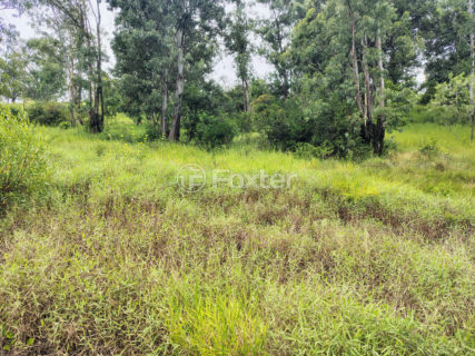 Image 9 - 253016