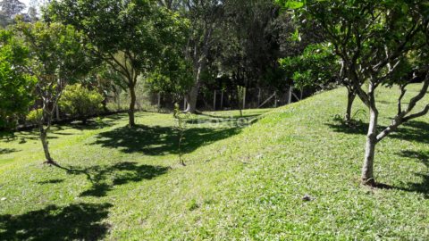 Image 15 - 253510