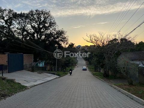 Image 17 - 253804