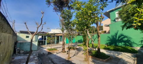 Image 24 - 253988