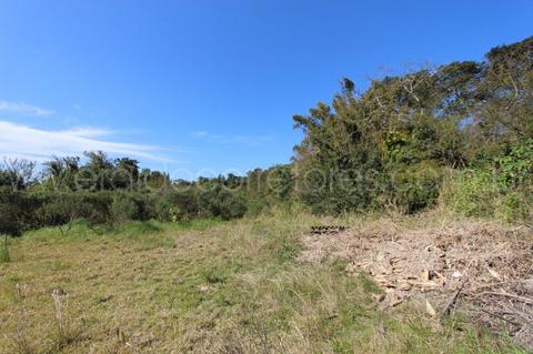Image 10 - 254390