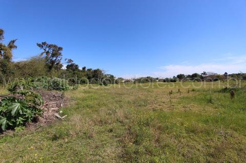 Image 13 - 254390