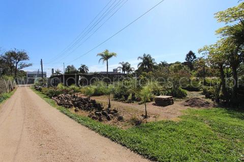 Image 7 - 254390