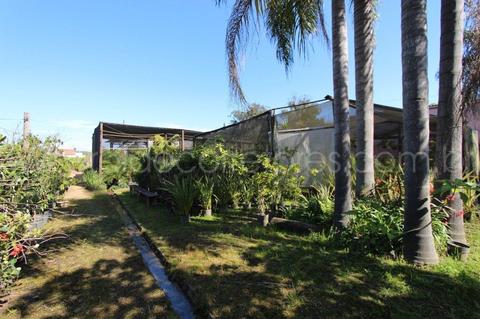 Image 8 - 254390