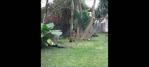 Image 3 - 254560