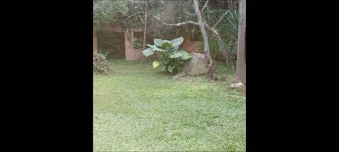 Image 1 - 254560