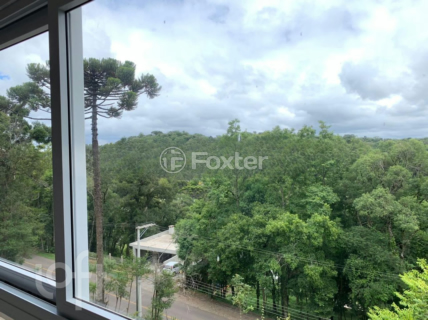 Image 4 - 255958