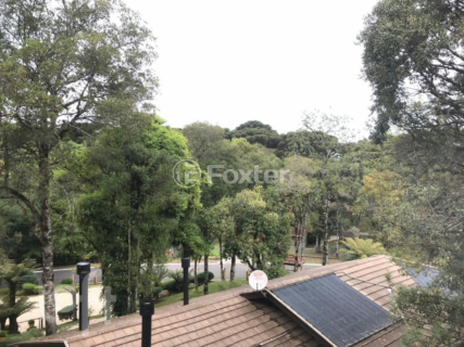 Image 31 - 256031
