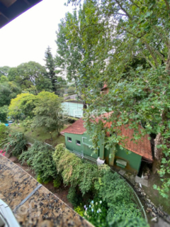 Image 14 - 256100