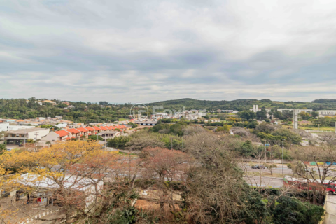 Image 24 - 257426