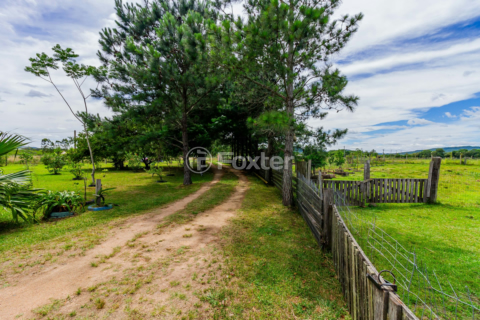 Image 10 - 259471