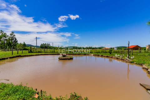 Image 7 - 259471