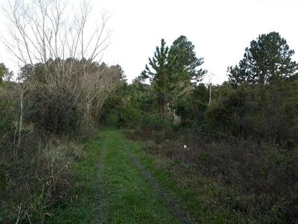 Image 14 - 259737