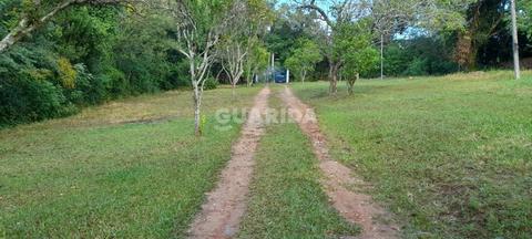 Image 8 - 263523
