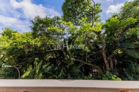 Image 8 - 264459