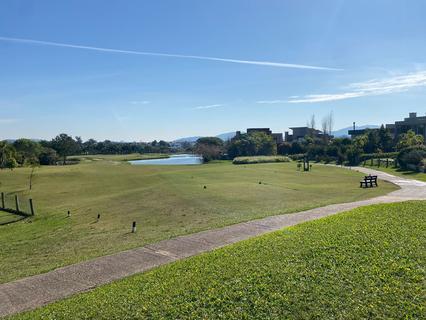 Image 3 - 264485
