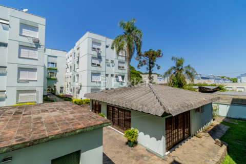Image 3 - 264528
