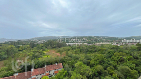 Image 35 - 264673