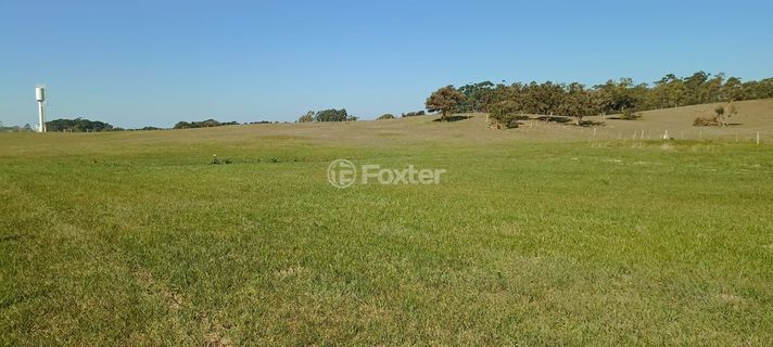 Image 7 - 265799