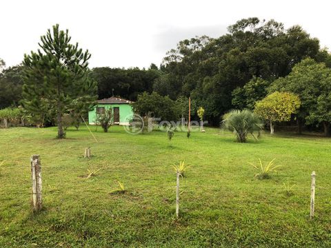 Image 3 - 265961