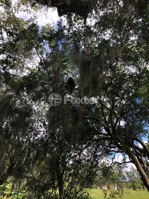 Image 7 - 265961