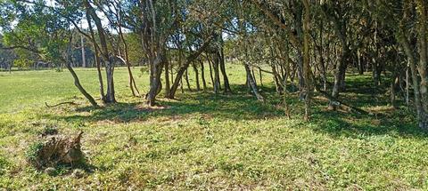Image 8 - 265976