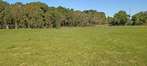 Image 9 - 265976