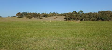 Image 3 - 265976