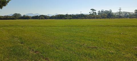 Image 4 - 265976