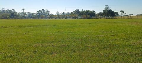Image 5 - 265976