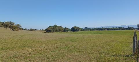 Image 4 - 265979