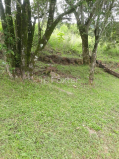 Image 15 - 268729