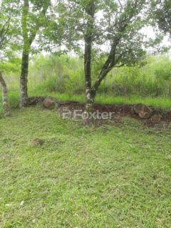 Image 11 - 268729