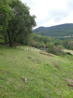 Image 8 - 268729