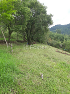 Image 10 - 268729