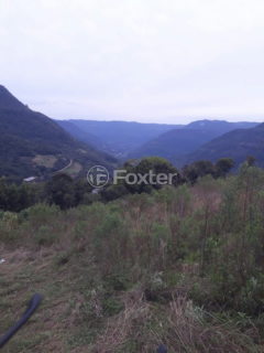 Image 0 - 268729