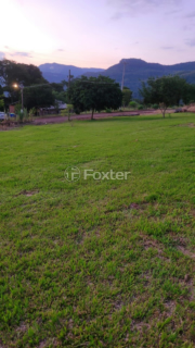 Image 7 - 268729