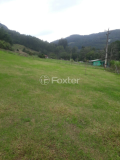Image 5 - 268729