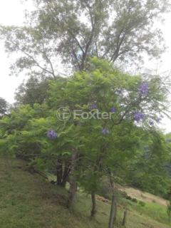 Image 2 - 268729