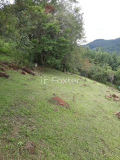 Image 9 - 268729