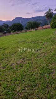 Image 6 - 268729