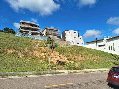 Image 7 - 268829