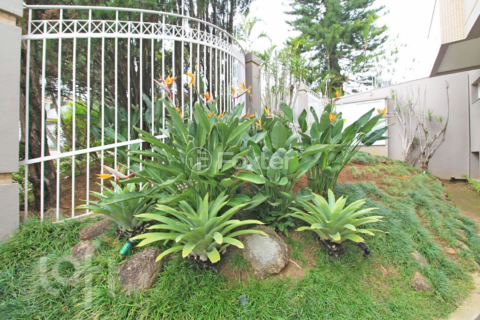 Image 53 - 270179