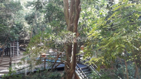 Image 39 - 271116