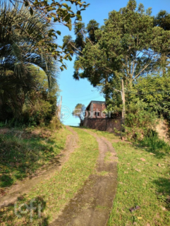 Image 19 - 271489
