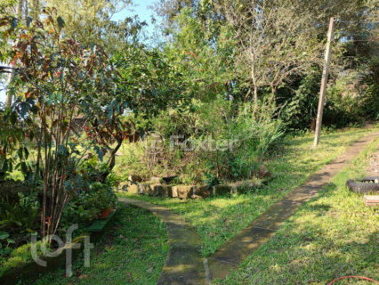 Image 6 - 271489