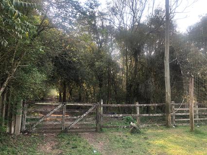 Image 11 - 271502